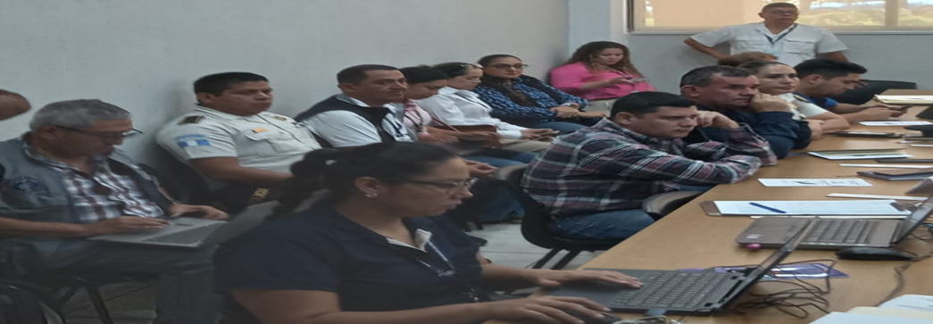 Mi Imagen